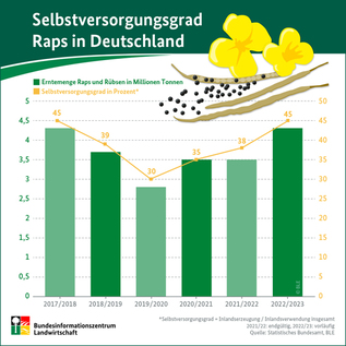 Grafik