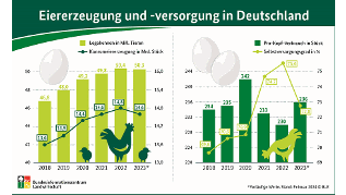 Grafik