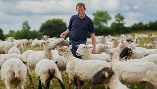 Schäfer mit Schafherde auf Weide (verweist auf: Vielfältige Projektideen zur Verbesserung der Schaf- und Ziegenhaltung)