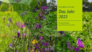 Titelbild (verweist auf: Das Jahr 2022)