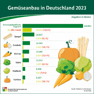 Grafik