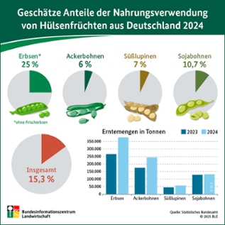 Grafik Grafik