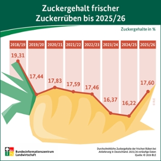 Grafik Grafik