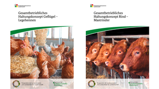 Titelbilder der Broschüren Titelbilder der Broschüren