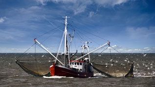 Ein Schiff (verweist auf: Nachhaltige Fischerei)