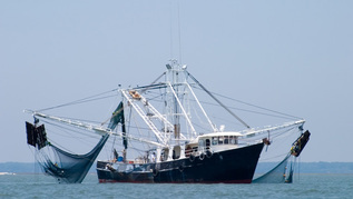 Fischerboot auf dem Meer Fischerboot auf dem Meer