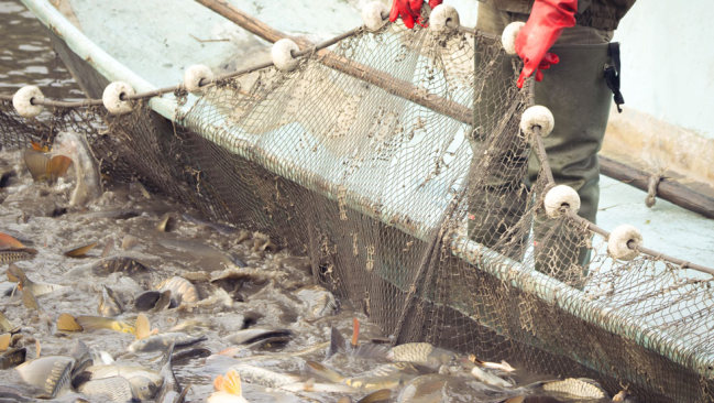 Szene auf einem Fischkutter