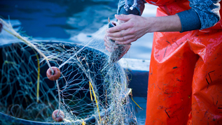 Fischer beim Reinigen des Fischernetzes Fischer beim Reinigen des Fischernetzes