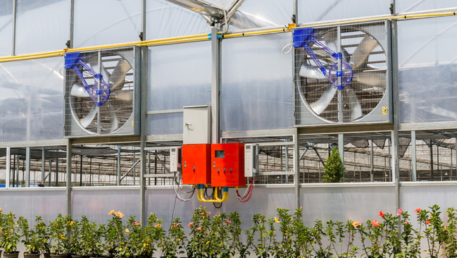 Gewächshaus mit elektrischen Ventilatoren Gewächshaus mit elektrischen Ventilatoren