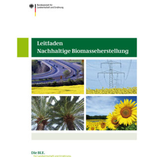 Titelbild des Leitfadens, Link zum Download