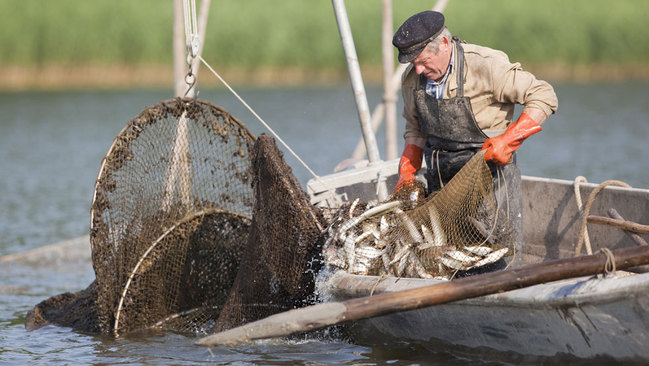 Fischer im Boot mit einer Reuse Fischer im Boot mit einer Reuse