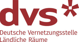 Logo DVS