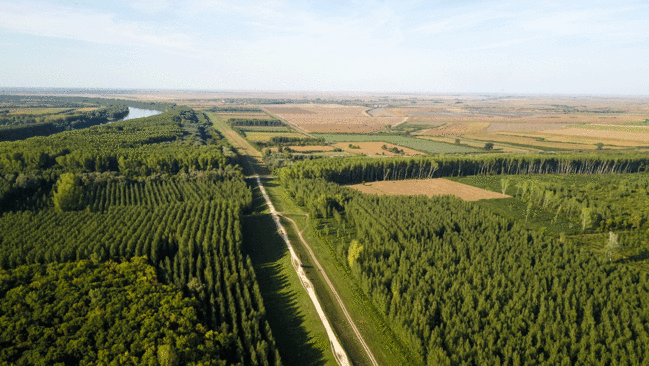 Drohnenbild von Feldern und Waldlandschaft Drohnenbild von Feldern und Waldlandschaft