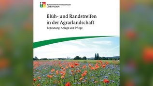 Titelseite der Broschüre (verweist auf: Neue BZL-Broschüre: "Blüh- und Randstreifen in der Agrarlandschaft – Bedeutung, Anlage und Pflege")