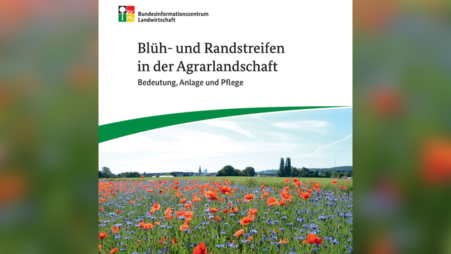 Titelseite der Broschüre Titelseite der Broschüre