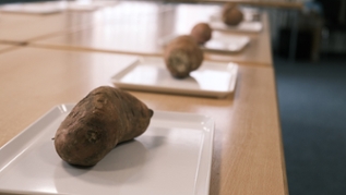 Süßkartoffeln Süßkartoffeln