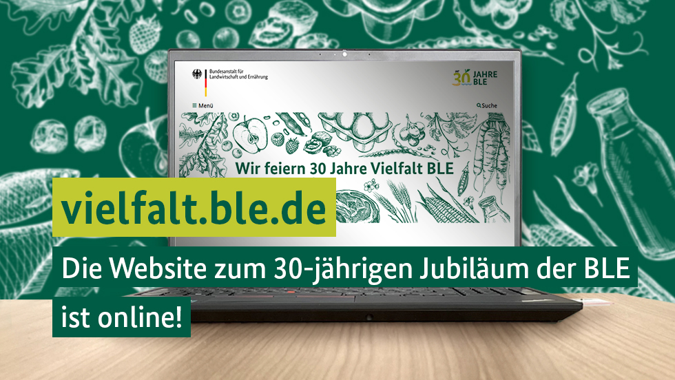 Grafik Internetseite Grafik Internetseite