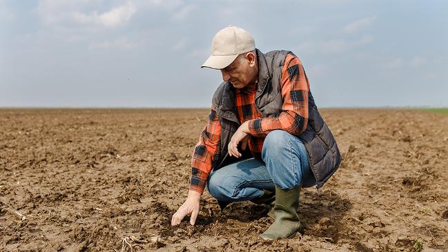 Landwirt prüft Ackerboden Landwirt prüft Ackerboden