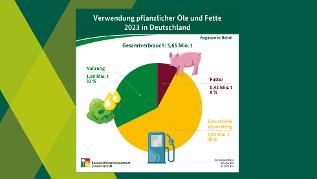 Infografik (verweist auf: Versorgungsbilanz Öle und Fette: Rund ein Drittel aus heimischer Ernte)