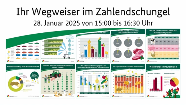 Verschiedene Info-Grafiken Verschiedene Info-Grafiken