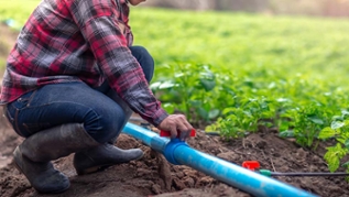 verweist auf: Fokus Wassereffizienz: Projekte für mehr Klimaresilienz Landwirt bewässert Acker (verweist auf: Fokus Wassereffizienz: Projekte für mehr Klimaresilienz)