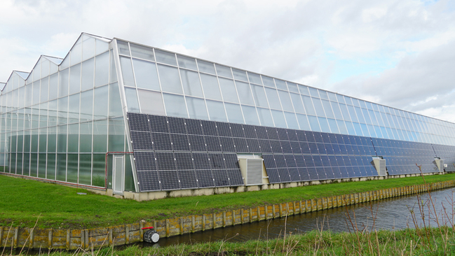 Sonnenkollektoren an einem Gewächshaus Sonnenkollektoren an einem Gewächshaus