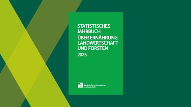 Deckblatt des Statistischen Jahrbuchs Deckblatt des Statistischen Jahrbuchs