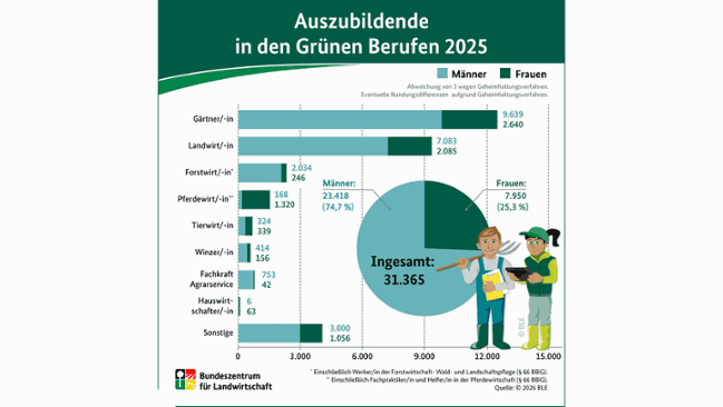 Info-Grafik Info-Grafik