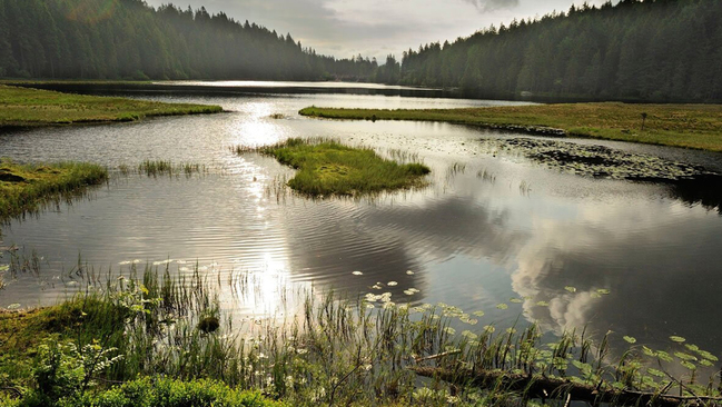 Natursee Natursee