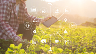 Landwirt nutzt ein Tablet für verschiedene Anwendungen Landwirt nutzt ein Tablet für verschiedene Anwendungen