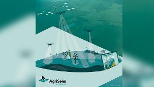 verweist auf: AgriSens DEMMIN 4.0 Grafik (verweist auf: AgriSens DEMMIN 4.0)