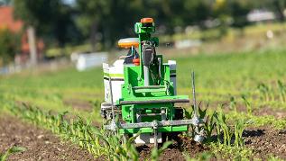 verweist auf: Fokus Autonomie: Technologien und Innovationen für effiziente und nachhaltige Landbewirtschaftung Roboter auf Feld (verweist auf: Fokus Autonomie: Technologien und Innovationen für effiziente und nachhaltige Landbewirtschaftung)