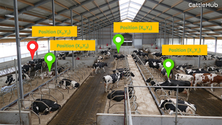 verweist auf: CattleHub Stall mit Kühen (verweist auf: CattleHub)