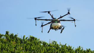 verweist auf: DIWAKOPTER Drohne fliegt über Reben (verweist auf: DIWAKOPTER)