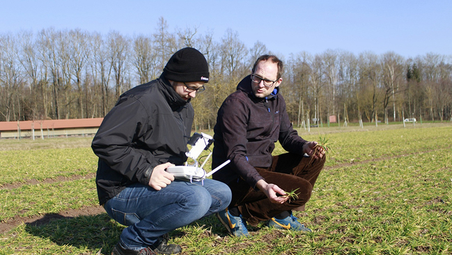 Zwei Personen auf einem Feld Zwei Personen auf einem Feld