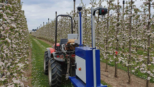 Obstbau Obstbau