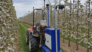 verweist auf: Experimentierfeld Südwest Obstbau (verweist auf: Experimentierfeld Südwest)