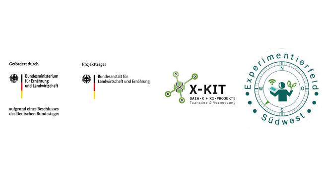 Logos in einer Grafik Logos in einer Grafik