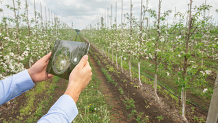 Landwirt mit Tablet vor Obstbäumen (verweist auf: Digitalisierung)