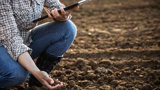 Landwirtin kontrolliert Bodenbeschaffenheit (verweist auf: Forschungs- und Entwicklungsvorhaben "Ergänzende Begleitforschung zum Modell- und Demonstrationsvorhaben ‚Humusaufbau in landwirtschaftlich genutzten Böden – Schwerpunkt Ackerbau'" (FuE))