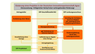 Förderschema