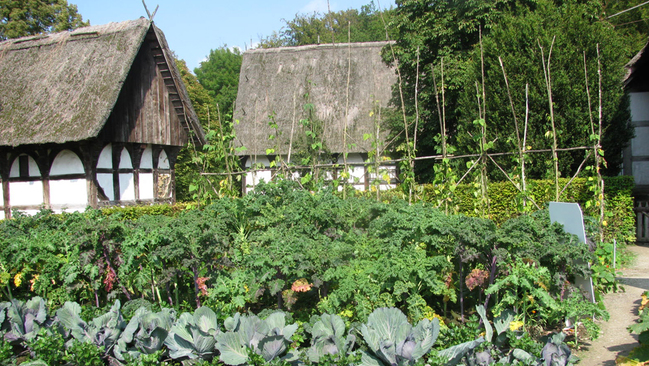 Bauerngarten vor Fachwerkhäusern