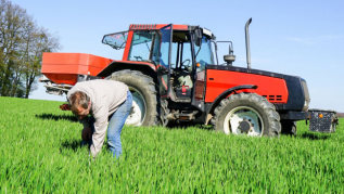 Mensch und Traktor im Feld Mensch und Traktor im Feld