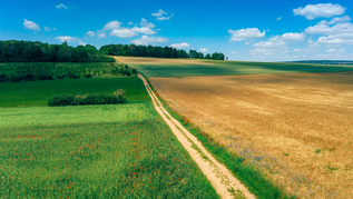 Felder und Wälder (verweist auf: Klimaschutz und Anpassung an den Klimawandel)