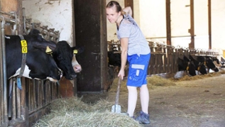 Landwirtin im Kuhstall beim Ausmisten Landwirtin im Kuhstall beim Ausmisten
