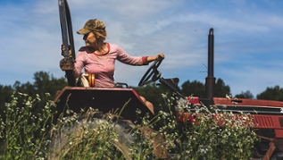 Landwirtin auf einem Traktor beim Rangieren - Blick zurück Landwirtin auf einem Traktor beim Rangieren - Blick zurück