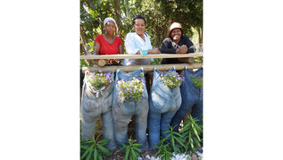 three women in a garden