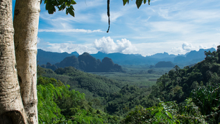 Forest Ecosystem in Thailand (refer to: Research  for international sustainable forest management)