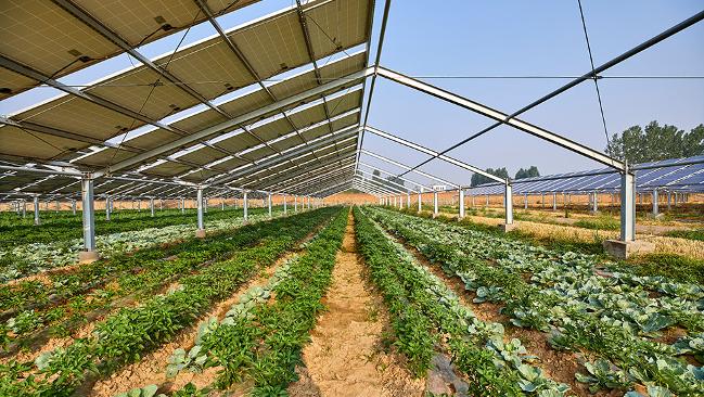 Greenhouse with phovoltaic system Greenhouse with phovoltaic system